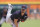 Shane Bieber