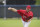 Stephen Strasburg