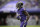 Marquise Brown