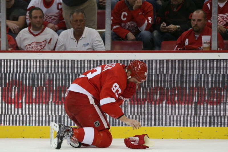 Detroit Red Wings: 5 Reasons to Not Panic About Jimmy Howard's Broken  Finger, News, Scores, Highlights, Stats, and Rumors