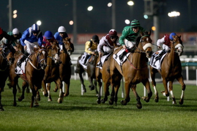 Dubai World Cup 2023: Prize money, race card and how to watch in UAE