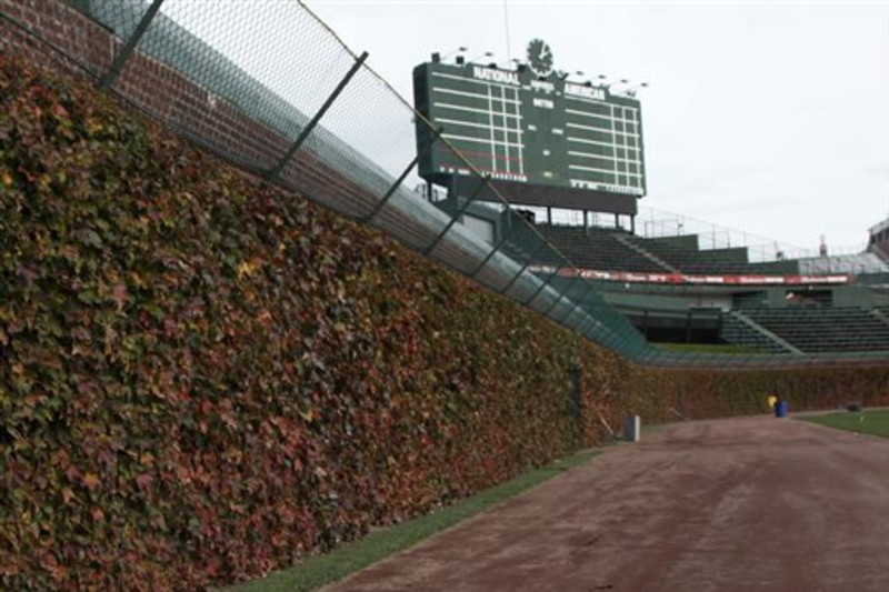 Chicago Cubs on X: Wrigley Field baseball skies hit different 😍   / X