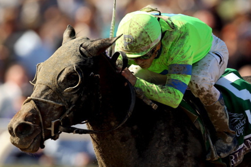 Preakness 2013: Post positions and morning line odds 