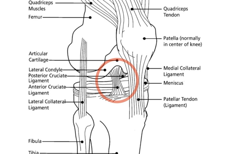 Sprains, strains and ACL tears. What to know about some of the NFL's most  common injuries