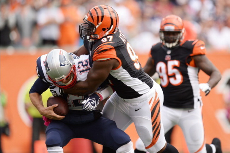 Wallace Gilberry - Cincinnati Bengals Defensive End - ESPN