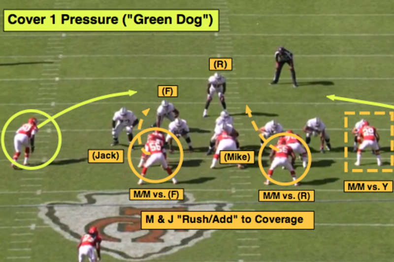 NFL 101: Breaking Down the Basics of Packaged Plays, News, Scores,  Highlights, Stats, and Rumors