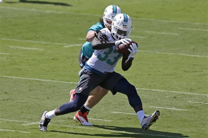 Breakdown of the Miami Dolphins Running Backs Entering the 2015 Season 