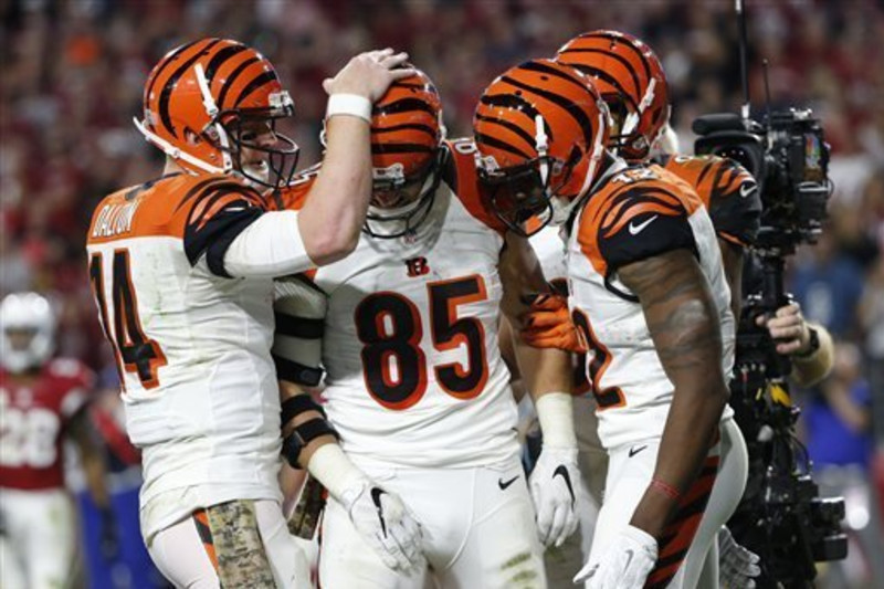 St. Louis Rams vs. Cincinnati Bengals: What's the Game Plan for St