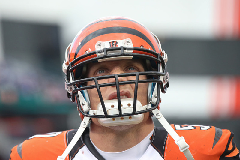 A.J. Hawk Cut by Bengals: Latest Comments and Reaction, News, Scores,  Highlights, Stats, and Rumors