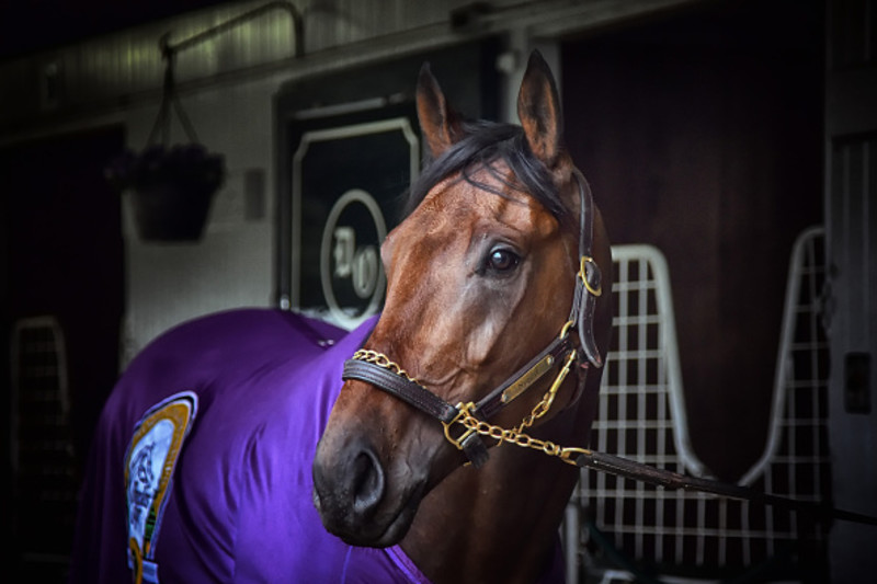 Kentucky Derby 16 Early Look At Favorites In The Field And Latest Vegas Odds News Scores Highlights Stats And Rumors Bleacher Report