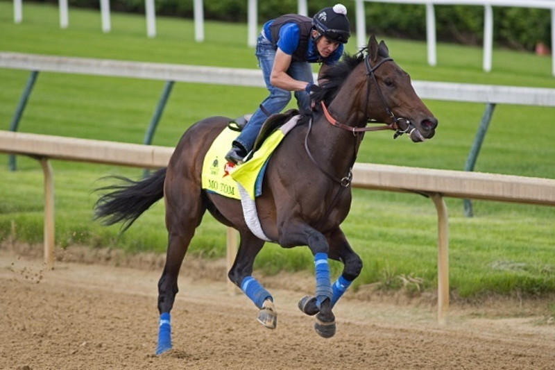 Kentucky Derby Entries 16 Horse Names Post Positions Vegas Odds And More News Scores Highlights Stats And Rumors Bleacher Report