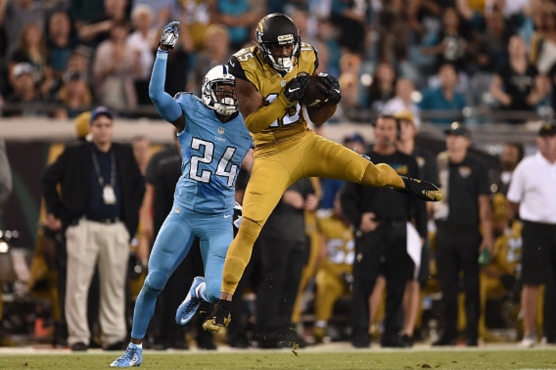 Allen Robinson enjoying breakout second season with Jaguars