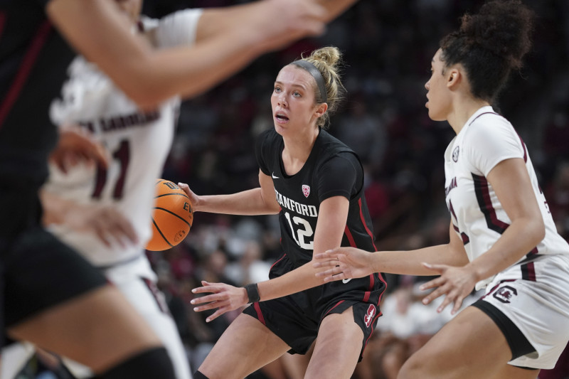 In slaying UConn, Dawn Staley cements South Carolina women's hoops