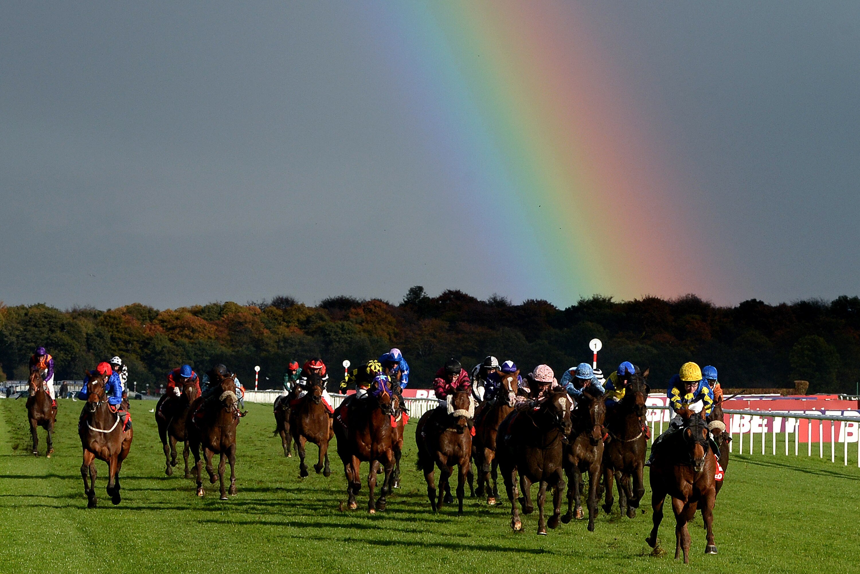 November Handicap 2013 Results Doncaster Winner Payouts And Order Of Finish Bleacher Report Latest News Videos And Highlights