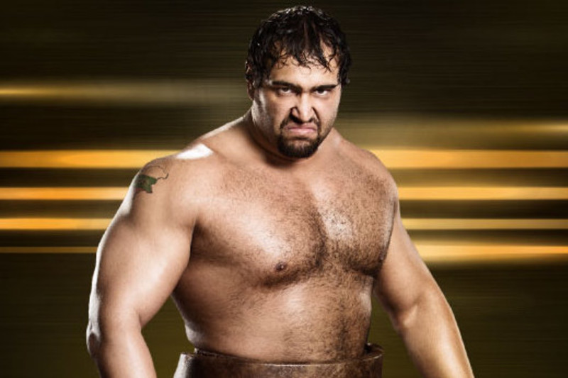 Career Expectations for Alexander Rusev After Debut in 2014 WWE Royal Rumble News Scores Highlights Stats and Rumors Bleacher Report