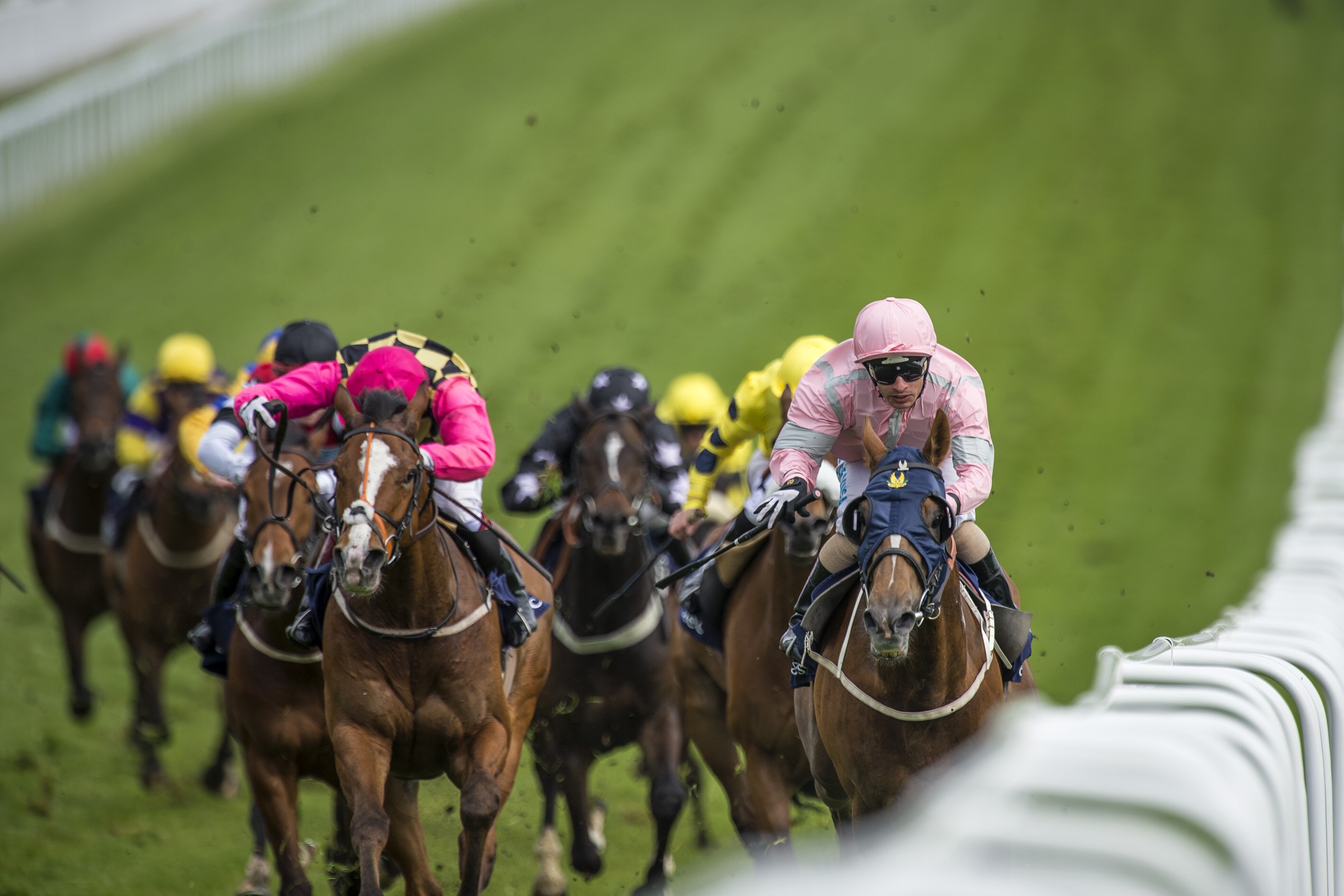 Glorious Goodwood 2014 Daily Results Prize Money Payouts And More Bleacher Report Latest News Videos And Highlights