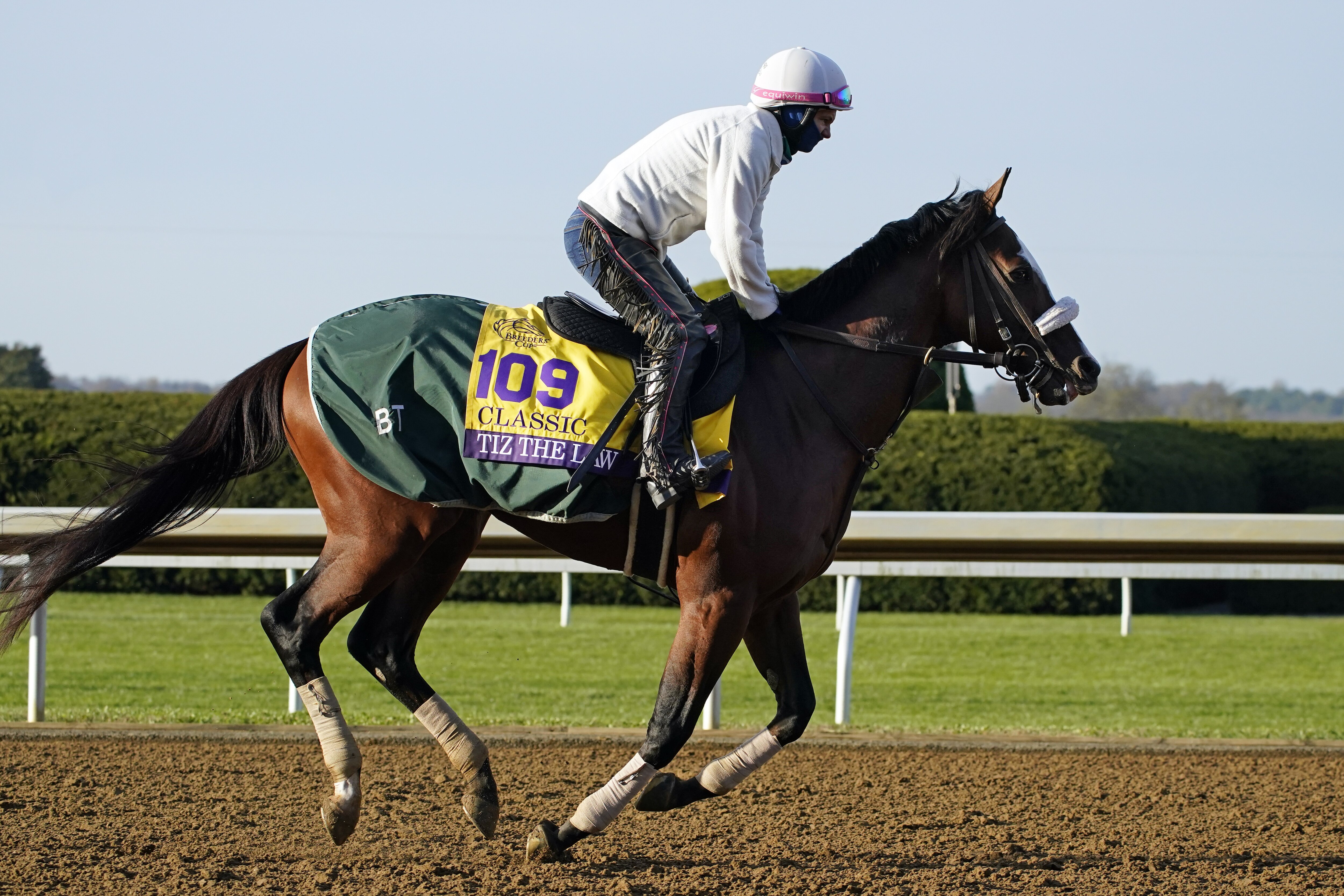 Breeders Cup 2020 Post Positions Horse Odds Prize Money Predictions And Odds Bleacher Report Latest News Videos And Highlights