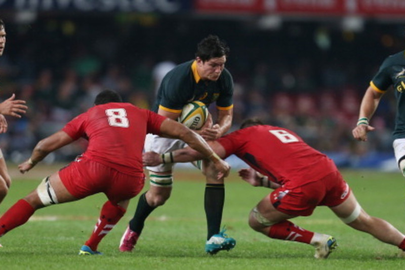 South Africa Vs. Wales: Score And Lessons Learned From Nelspruit Test ...